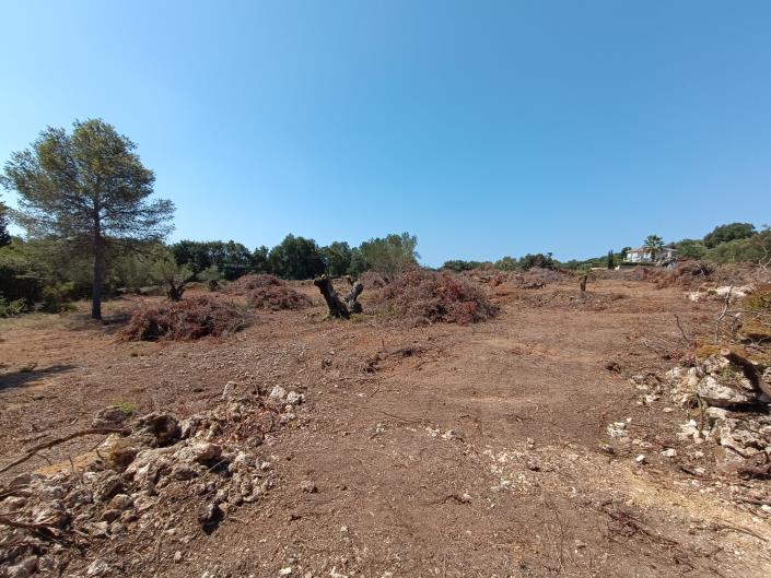 Image No.5-Land for sale