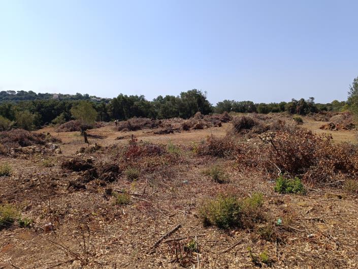 Image No.6-Land for sale