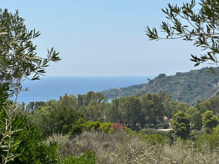 Image No.3-Land for sale