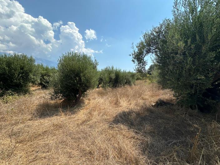 Image No.5-Land for sale