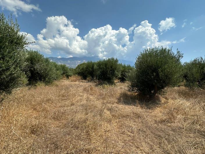 Image No.6-Land for sale