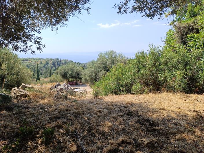 Image No.1-Land for sale
