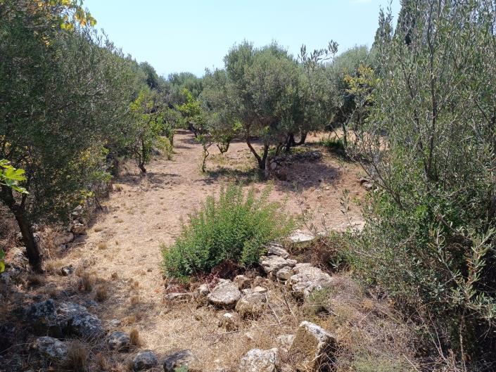 Image No.2-Land for sale