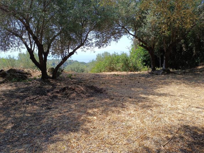 Image No.4-Land for sale