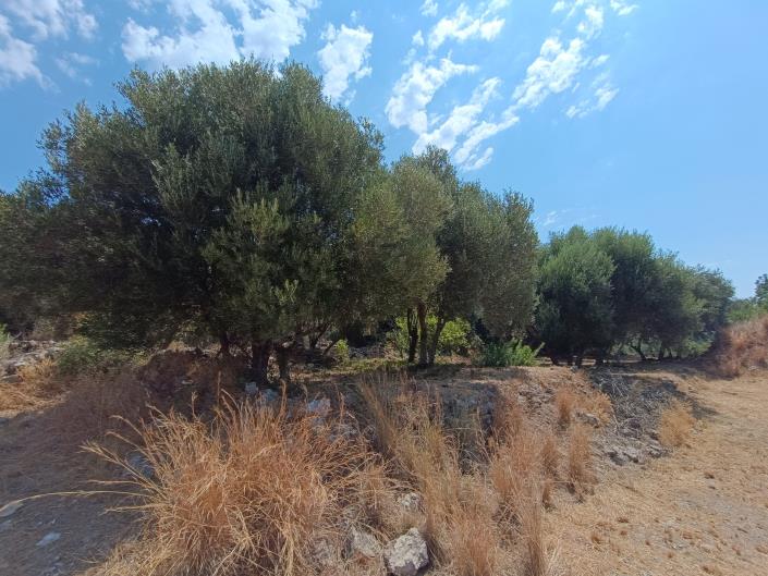 Image No.5-Land for sale