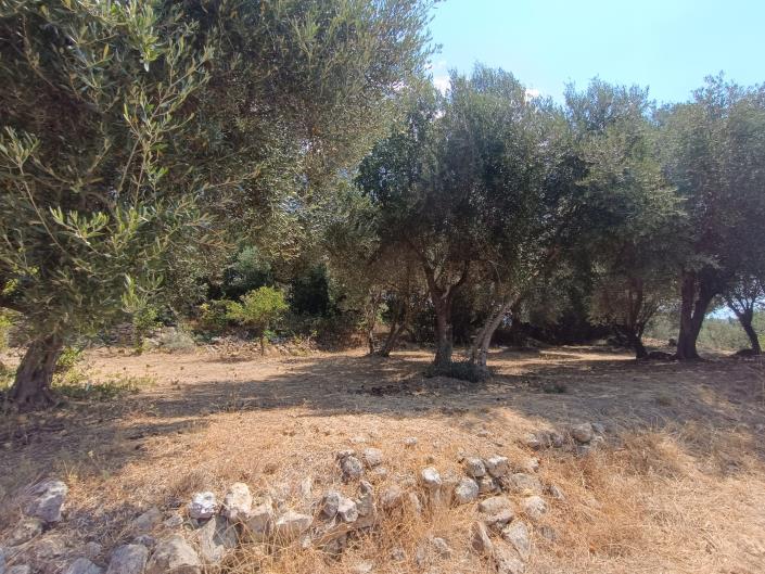 Image No.6-Land for sale