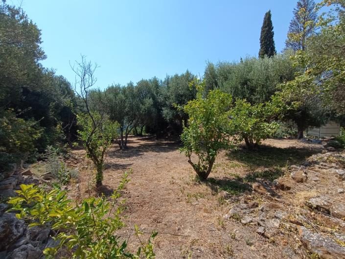 Image No.8-Land for sale