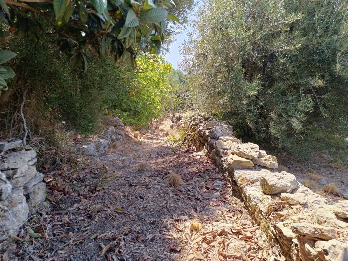 Image No.9-Land for sale