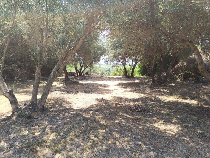 Image No.10-Land for sale