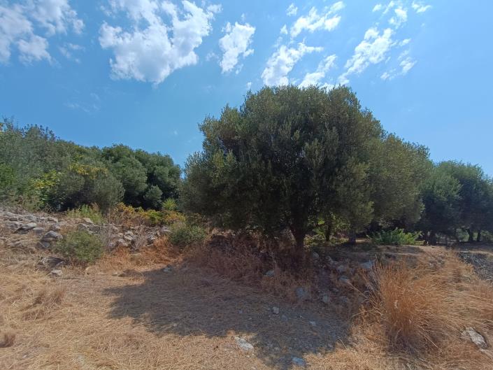 Image No.11-Land for sale