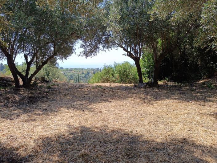 Image No.12-Land for sale