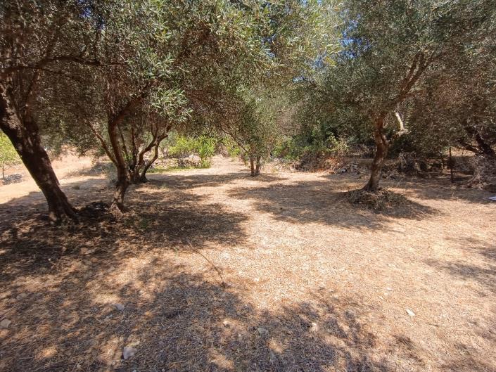 Image No.13-Land for sale