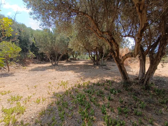 Image No.16-Land for sale