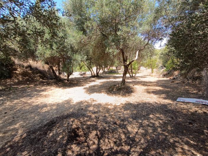 Image No.17-Land for sale