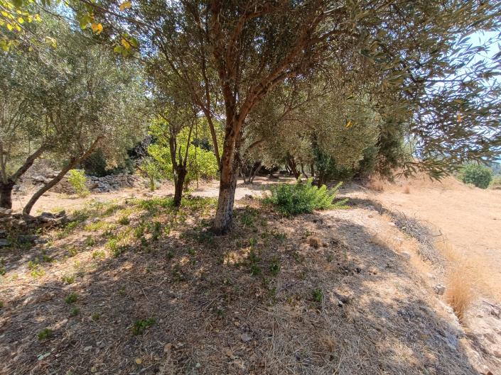 Image No.18-Land for sale