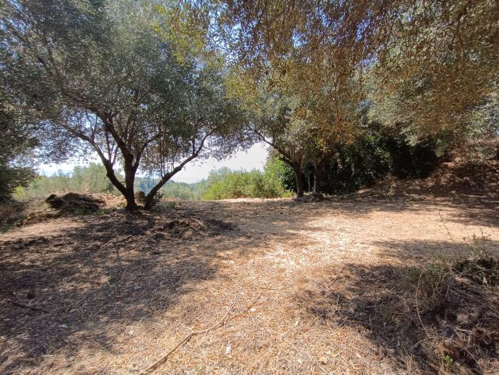 Image No.20-Land for sale