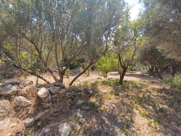 Image No.21-Land for sale