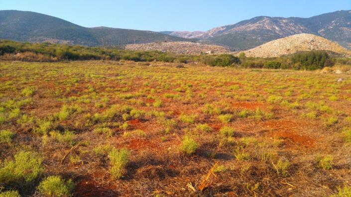 Image No.2-Land for sale