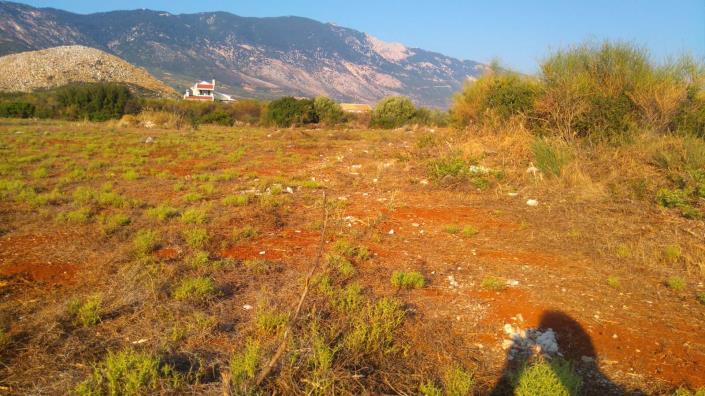 Image No.3-Land for sale