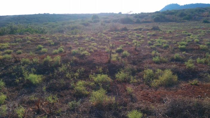 Image No.4-Land for sale