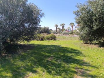 IMG_20251015_125103-scaled