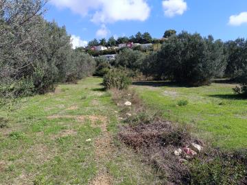 IMG_20251015_125213-scaled