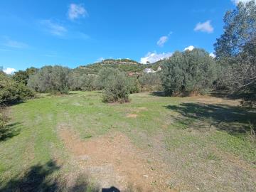 IMG_20251015_125245-scaled