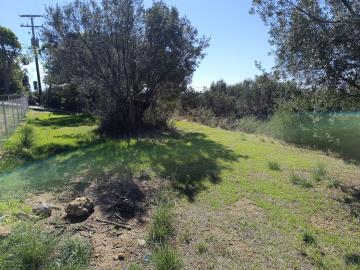 IMG_20251015_125645-scaled