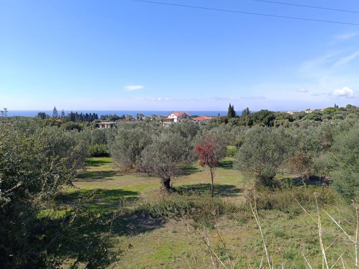 Image No.1-Land for sale