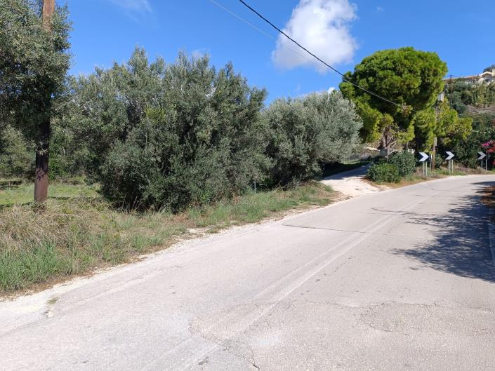 Image No.11-Land for sale