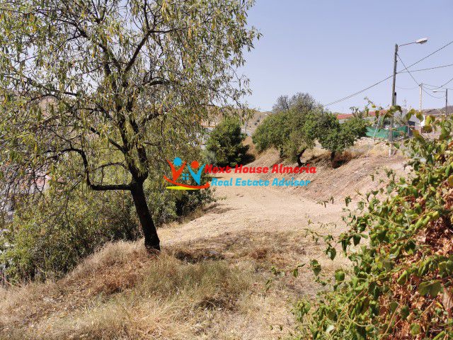 Image No.4-3 Bed Country House for sale