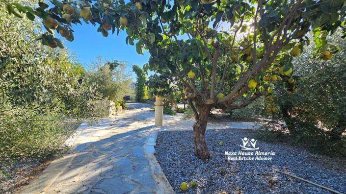 Image No.14-4 Bed Villa for sale