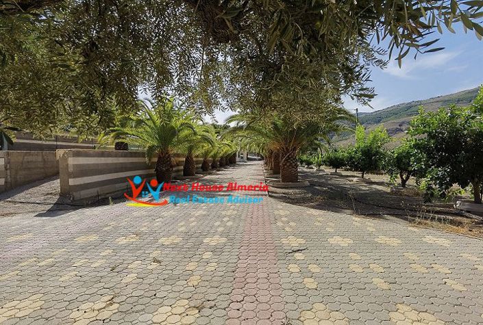 Image No.23-7 Bed Country House for sale