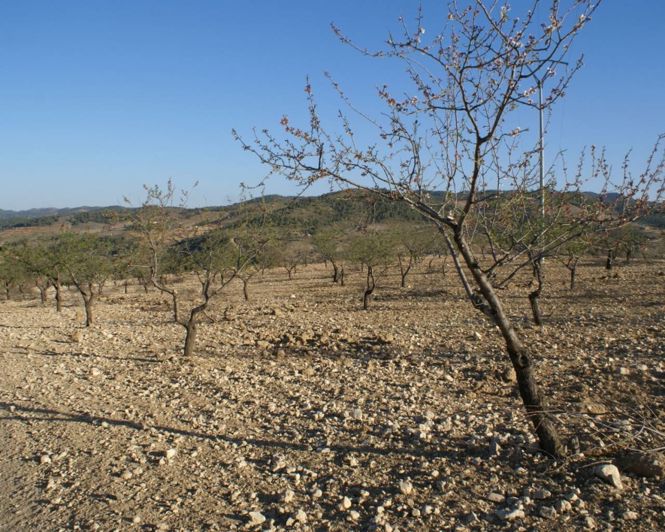 Image No.8-Plot for sale