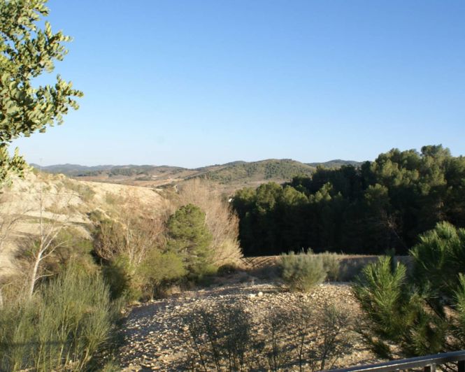 Image No.9-Plot for sale