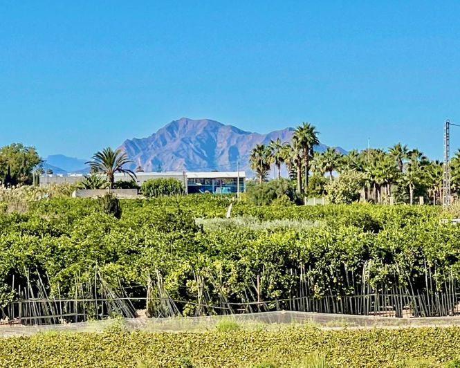 Image No.33-6 Bed Villa for sale