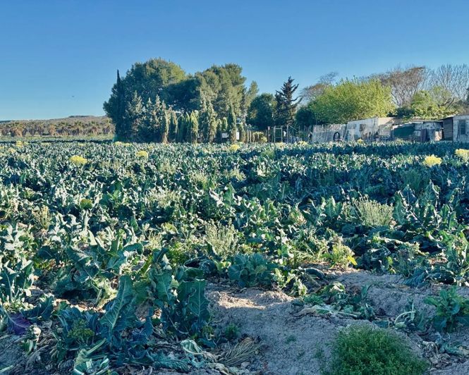 Image No.38-4 Bed Property for sale