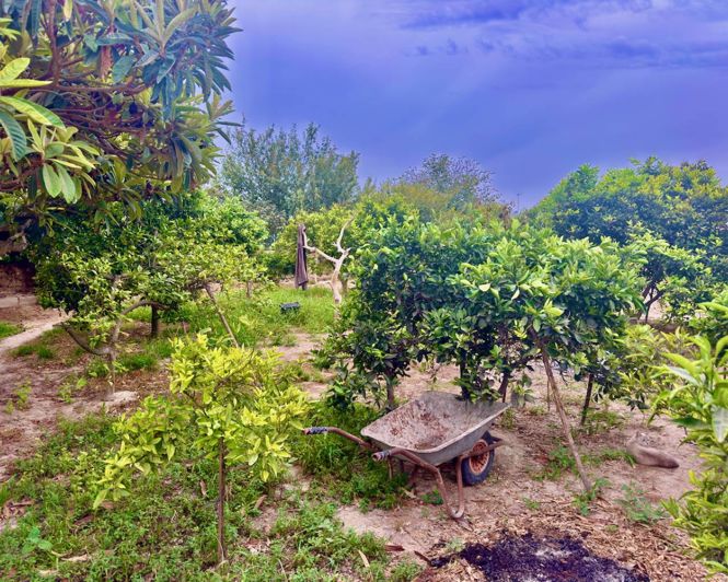 Image No.16-3 Bed Property for sale