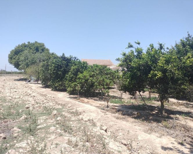 Image No.18-3 Bed Property for sale