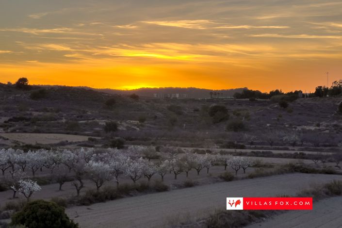 Image No.49-3 Bed Apartment for sale