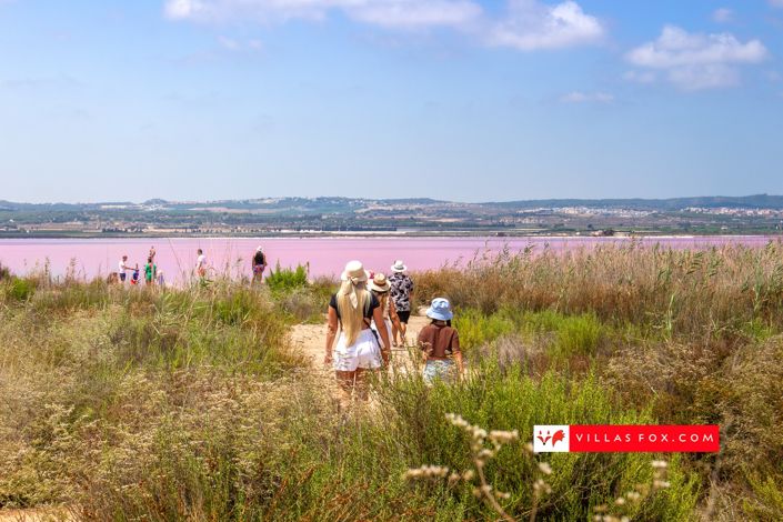 Image No.25-2 Bed Apartment for sale