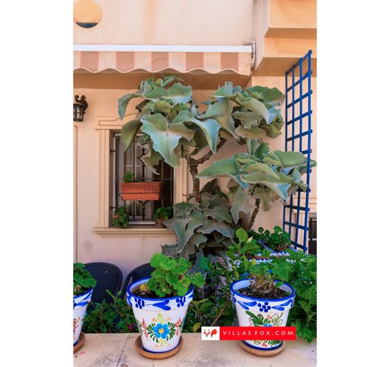 Image No.25-3 Bed Townhouse for sale