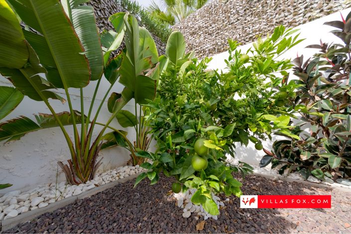 Image No.43-3 Bed Villa for sale