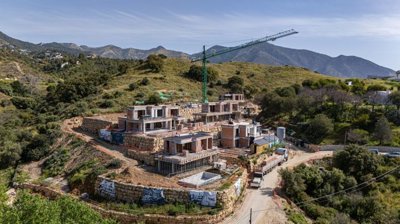 bzpaap112192784101024v0d3b7