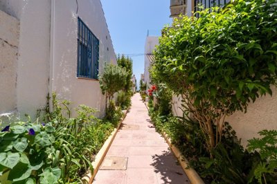 bzpaap111532844611024v03a44