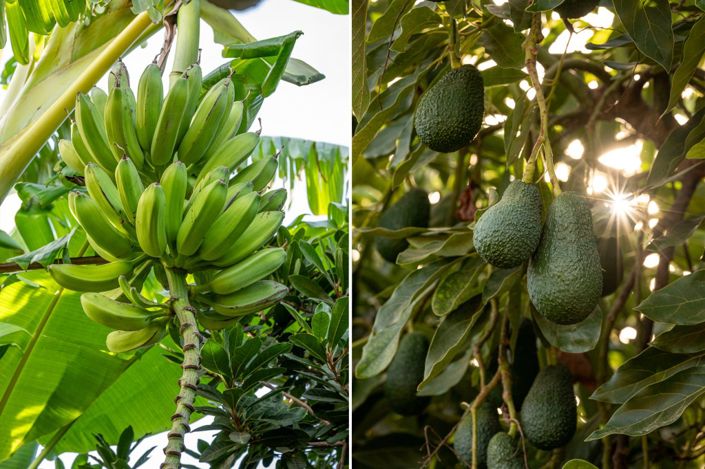 Image No.16-Villa for sale