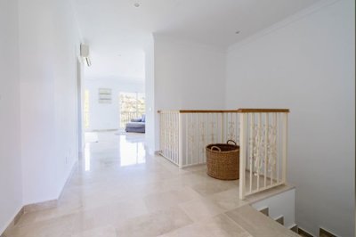 bzpaap116392896411024v01d28