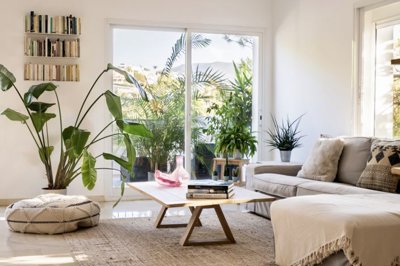 bzpaap116392896341024v0c2db