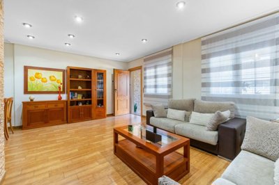 bzpaap116492898231024v0698b