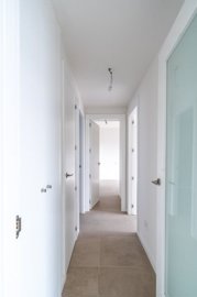 bzpaap116802908471024v004ae